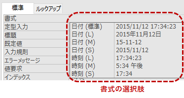 日付/時刻型の書式設定