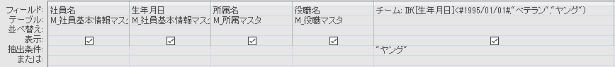 IIF関数による条件分岐の抽出条件